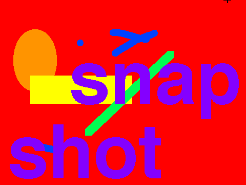 snap shot