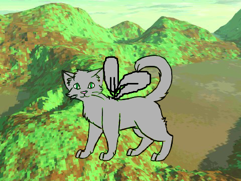 GRAYSTRIPE FLYING!!!!!!!!