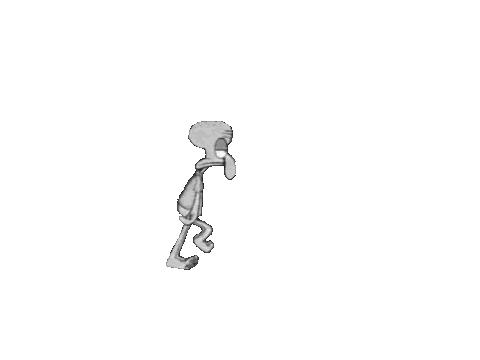Suicide Partying