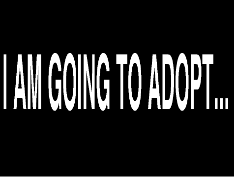 I am Going To Adopt Number 2
