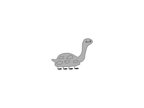 long neck turtle
