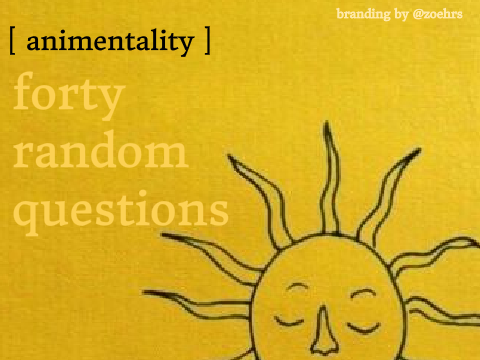 + forty random questions tag +