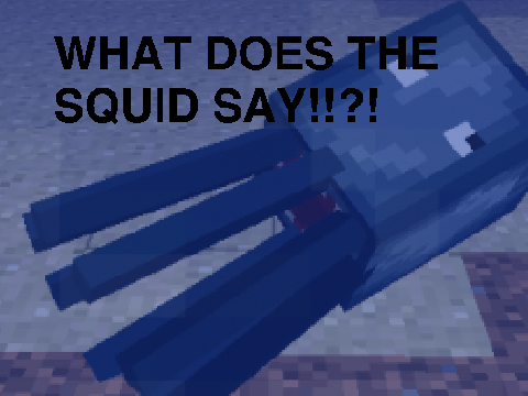What does the squid say!!?!
