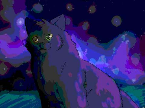 Why Did Kona Change-remake