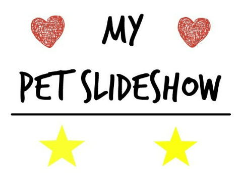 My pet slideshow