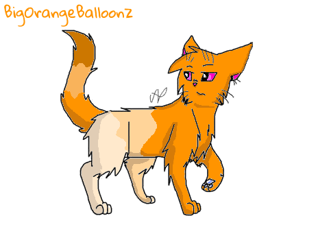 Warrior Cat CC entry