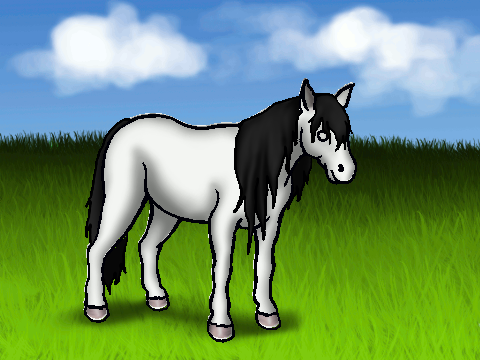 make your own horse