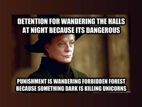 Harry Potter Memes Part II