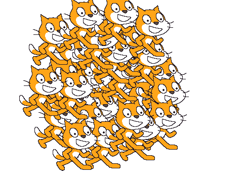 Find the cat 3