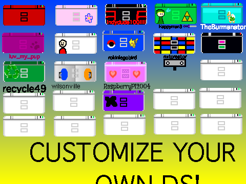 Customize_Your_Own_DS!