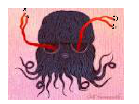 this eyesocket monster is smarter than you.remix pls