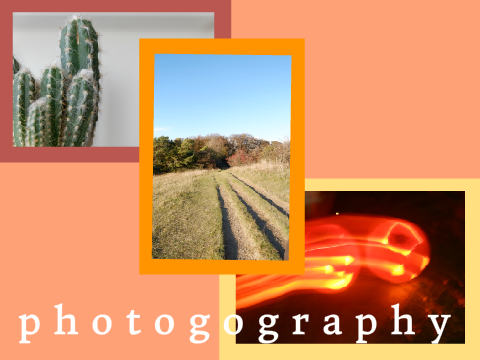 x  october photography dump  x