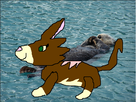 Ottersplash {} Ref