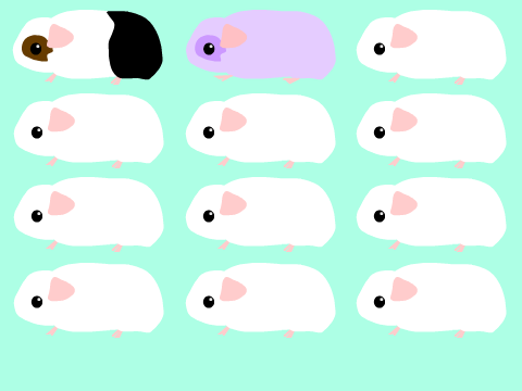 Add your own guinea pig! remix