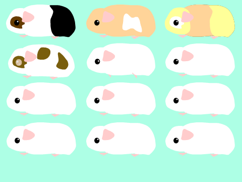 Add your own guinea pig :3 :D remix remix remix  remix