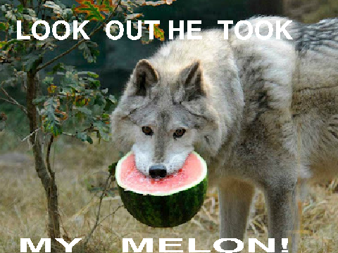 HE TOOK MY MELON!