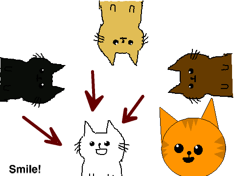 Smiley Cat (It will make you smile!)