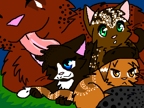 Littlefox's kits