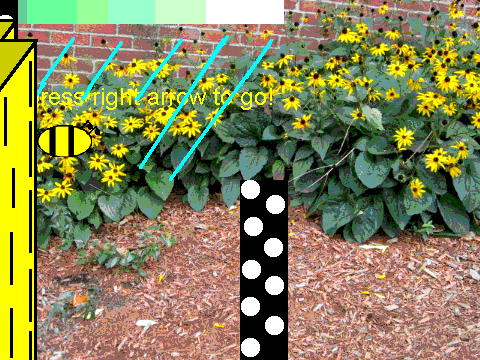 bee adventure 2