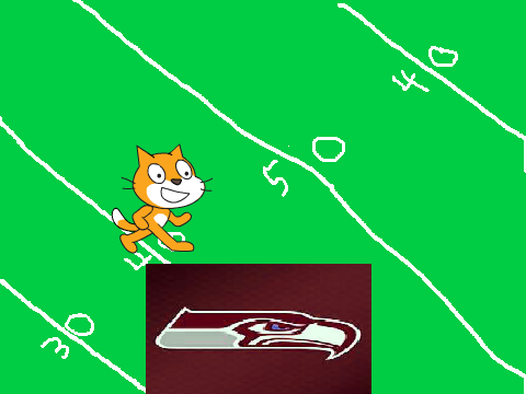 Admit your a Seahawk fan