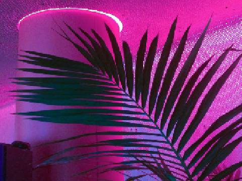 ♔    