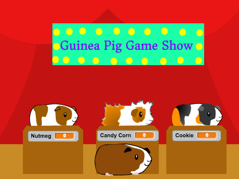 Guinea Pig Game Show