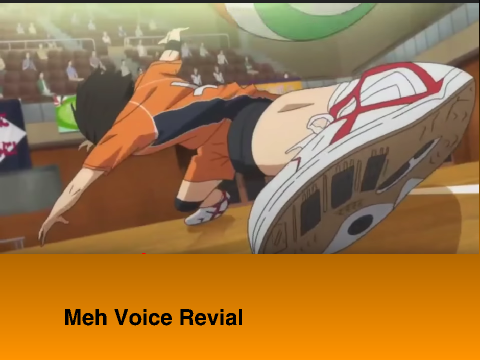 VOICE REVIAL!!!!!!!!