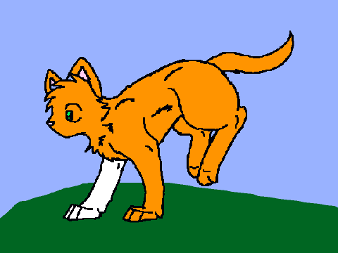 Running Away CCE- Squirrelflight