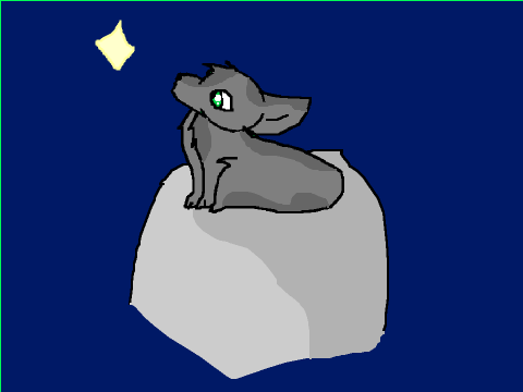 on top of the world contest