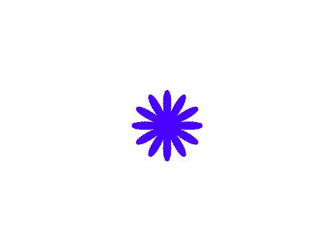 OlsonFlowerProgram5.3