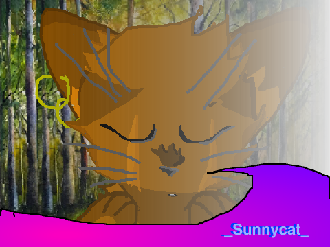 >Towards~the~sun<  }*MEME REMIX*{
