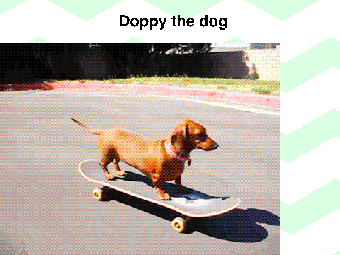 doppy dawg.