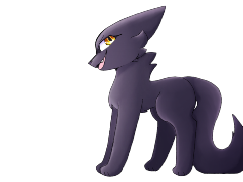 Lol whats this