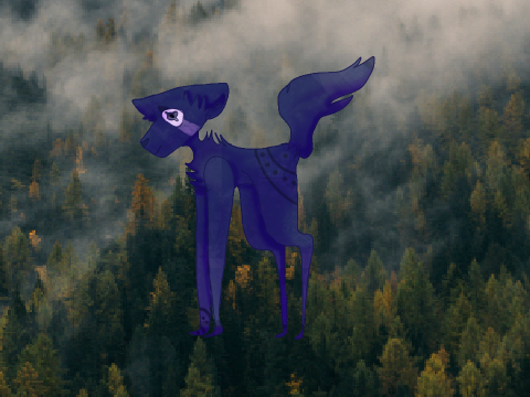 OPEN / OC Contest Entry