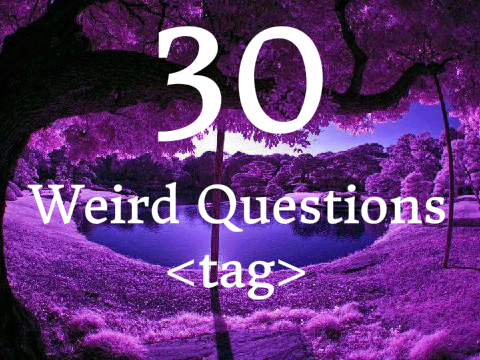 30 Weird Questions Tag remix