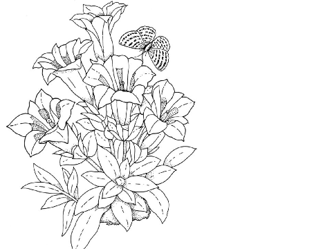 colouring contest OPEN!