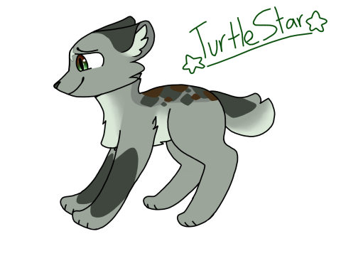 Turtlestar ref