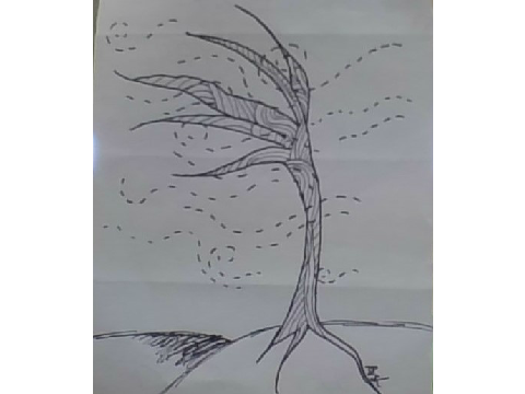 Sketching November Week 1