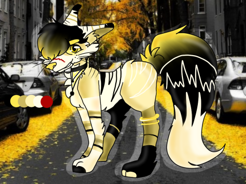 ✸✪ᴅᴛ ᴡɪᴛʜ ᴡᴀʀʀɪᴏʀᴄᴀᴛsʀᴜʟᴇ5674✪✸