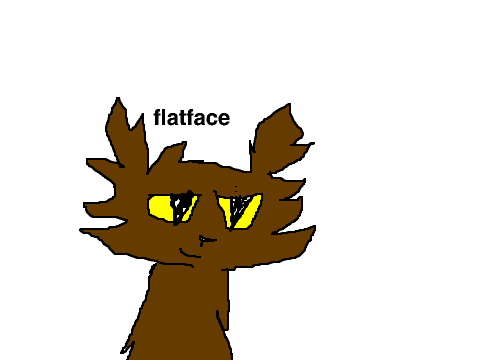 flatface for facepaw to adopt