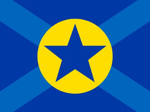 Walmart Flag