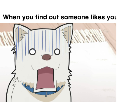 I have no idea
