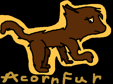 1.acorn fur