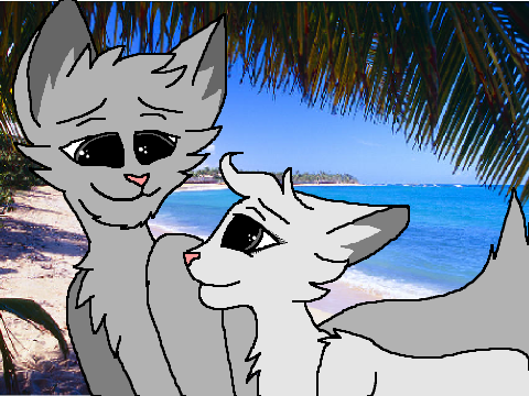 Tropic Love CC