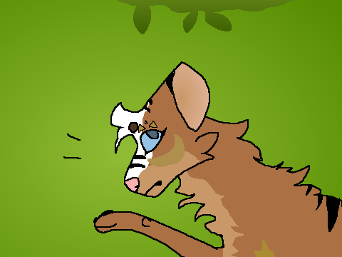 'What even???' | CCE | 