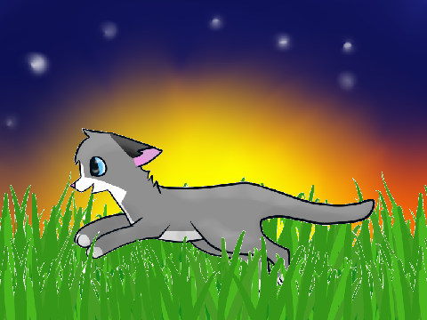 Cat Run Cycle (Old)