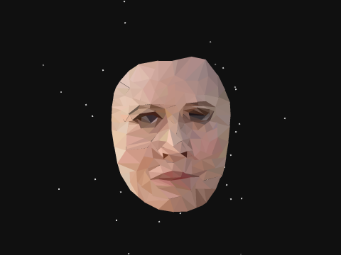 PolyArt Carrie Fisher