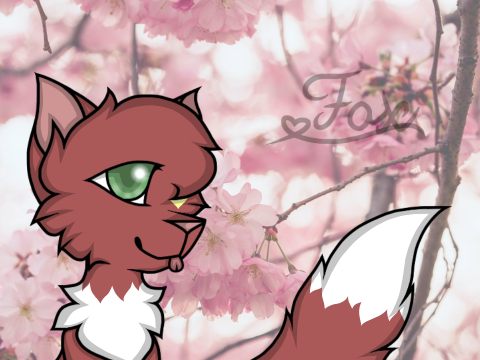 ★ Weekly post ★