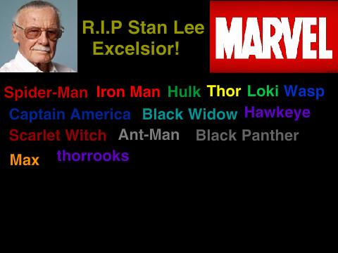 Sign If You Will Always And Forever Miss And Remember Stan Lee remix