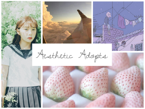 Aesthetic Entries